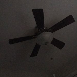 Meet your Posher, Dana